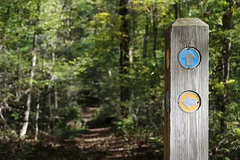 Wegweiser im Wald; Foto: pixabay