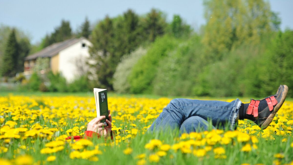 Lesen; Foto: Fundus